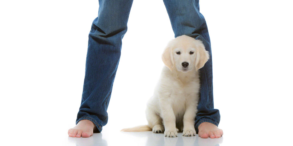 Photography Classes NH